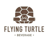 Flying Turtle